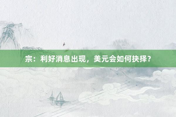 宗：利好消息出现，美元会如何抉择？