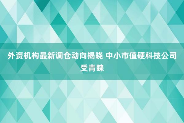 外资机构最新调仓动向揭晓 中小市值硬科技公司受青睐