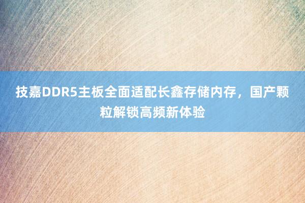 技嘉DDR5主板全面适配长鑫存储内存，国产颗粒解锁高频新体验