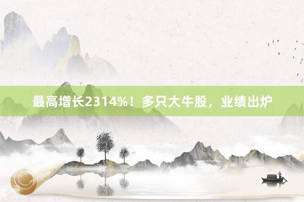 最高增长2314%！多只大牛股，业绩出炉