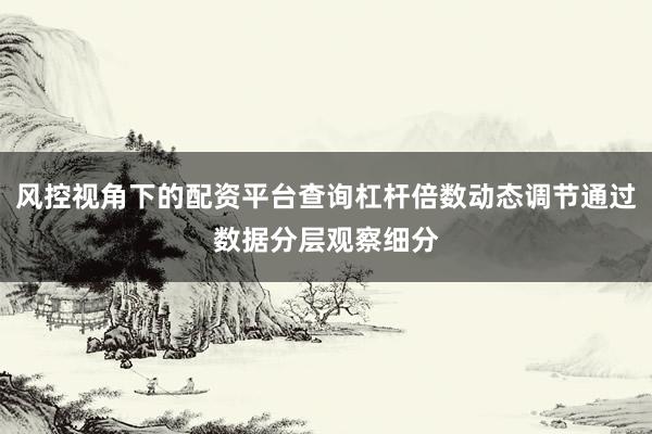 风控视角下的配资平台查询杠杆倍数动态调节通过数据分层观察细分