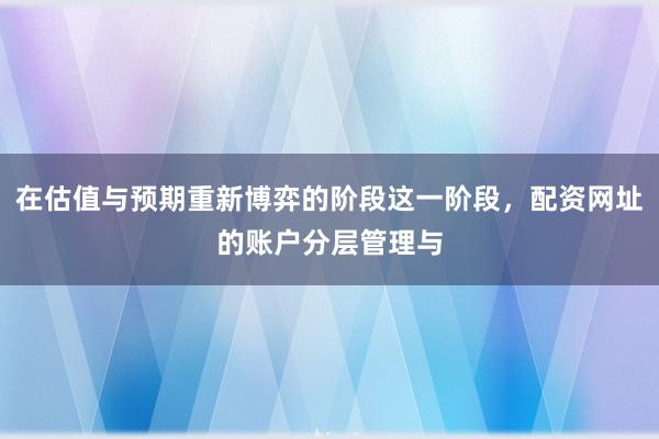在估值与预期重新博弈的阶段这一阶段，配资网址的账户分层管理与