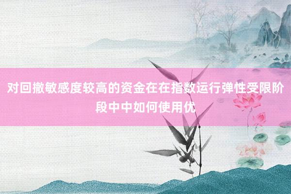 对回撤敏感度较高的资金在在指数运行弹性受限阶段中中如何使用优